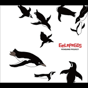 Galapagos Girl by Penguins Project