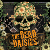 the dead dasies