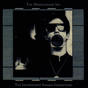 The Monochrome Set: The Independent Singles Collection