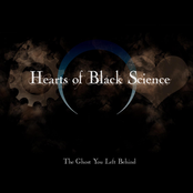 Revolvers by Hearts Of Black Science