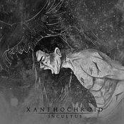 Incultus-2011 (2014 Remaster)