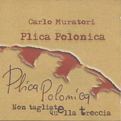 Plica polonica (Non tagliate quella treccia from sicily)