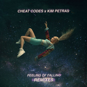 Feeling of Falling (Steve Aoki Remix) - Single