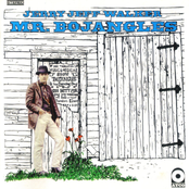 Jerry Jeff Walker: Mr. Bojangles