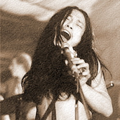 damo suzuki's dunkelziffer