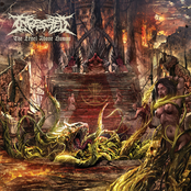 Ingested: The Level Above Human