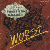 WORST～VERY BEST OF SNAKE HIP SHAKES～