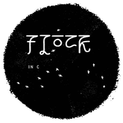 Flock: In C