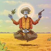 Krishna Country Gold