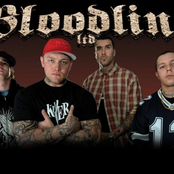 bloodline ltd