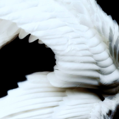 Başka Bir Hayat Mümkün