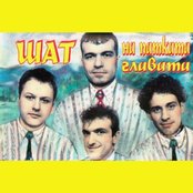 Shat na patkata glavata