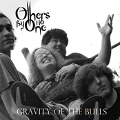 Gravity of the Bulls