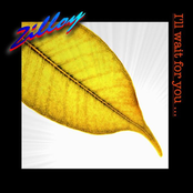 I'll wait for you...