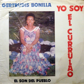 Yo Soy El Currulao, El Son Del Pueblo