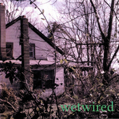 Wetwired