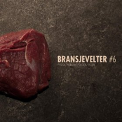 Bransjevelter 6