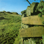 My Cleopatra (UK 12")