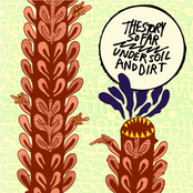 Mt. Diablo by The Story So Far