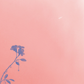 Aurora (Deluxe Edition)