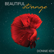 Donnie Kehr: Beautiful Strange