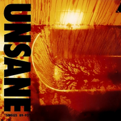 Concrete Bed by Unsane