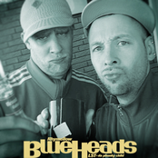 Blueheads