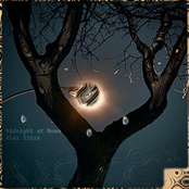 Midnight at Noon - Single