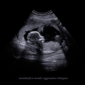 somebody's womb