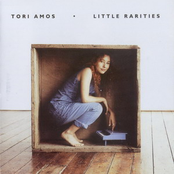 The Happy Worker by Tori Amos