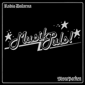 Radio Dalarna Moraparken: Musikpuls!