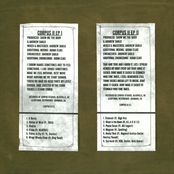 Show Me the Body: Corpus II