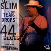 44 blues: chicago blues session, volume 49