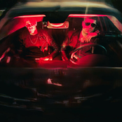 Welcome to the Rockers Paradise