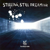 stilling, still dreaming