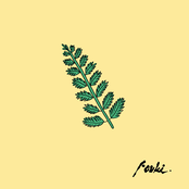 Fouki: Zay