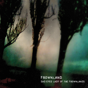 frownland