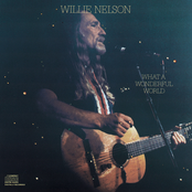 Some Enchanted Evening by Willie Nelson