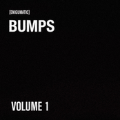 Enigumatic Bumps, Vol. 1