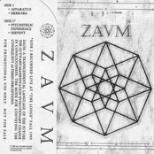 Psychedelic Experience by Zaum
