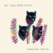 My Golden Calf: Perfume Brute