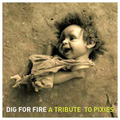 Dig For Fire: A Tribute to Pixies