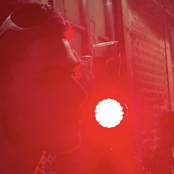 Estranha forma de vida