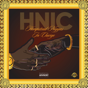 H.N.I.C. : Hempstead Niggas In Charge [LP]