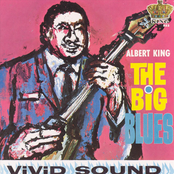 What Can I Do To Change Your Mind? by Albert King