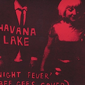 Night Fever