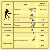 Шизазой