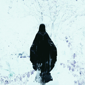 Surrounded by a Cloud of Witnesses