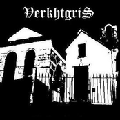 Verkhtgris