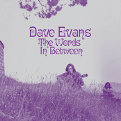 Dave Evans: The Words in Between